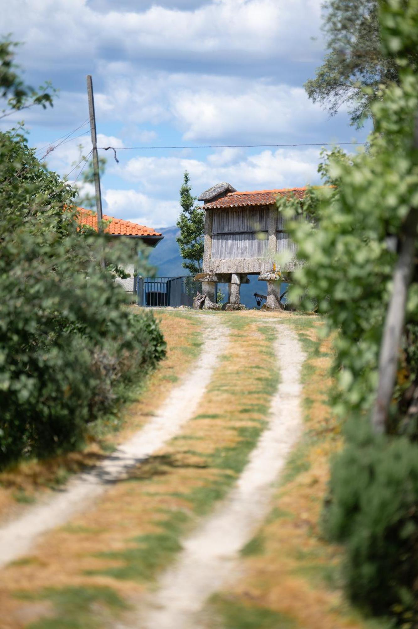 Quinta De Calvelos Виейра-ду-Минью Экстерьер фото