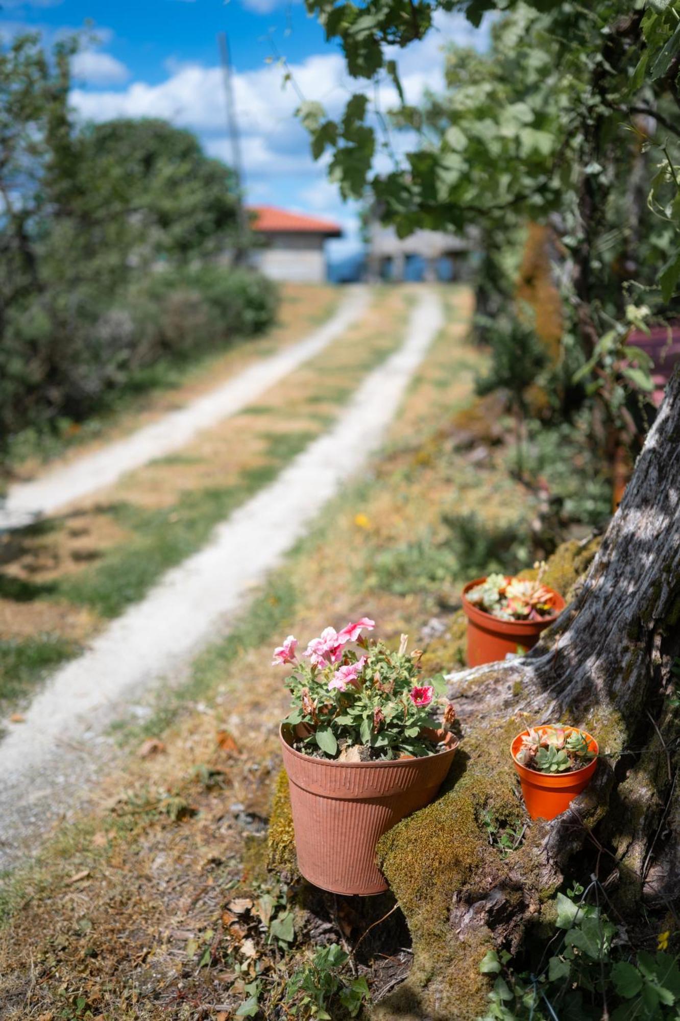 Quinta De Calvelos Виейра-ду-Минью Экстерьер фото